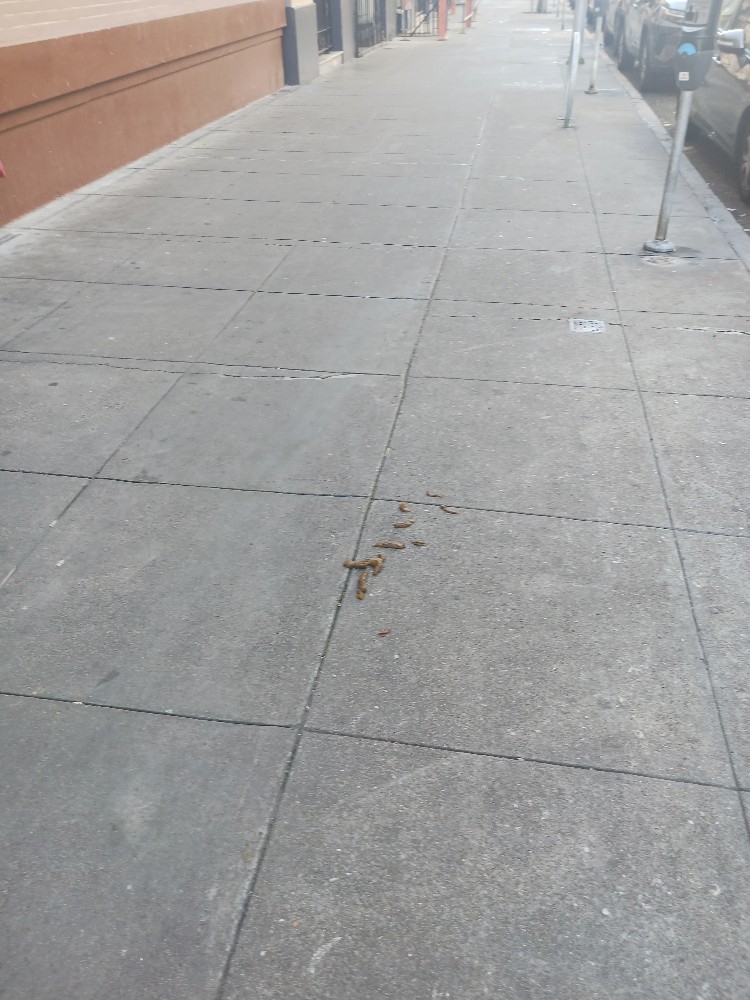 Photo attached to case 202000222479