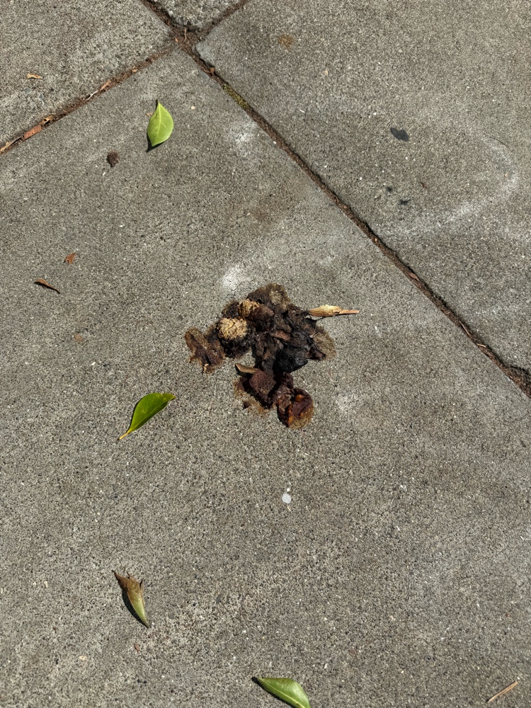 Photo attached to case 202000222643