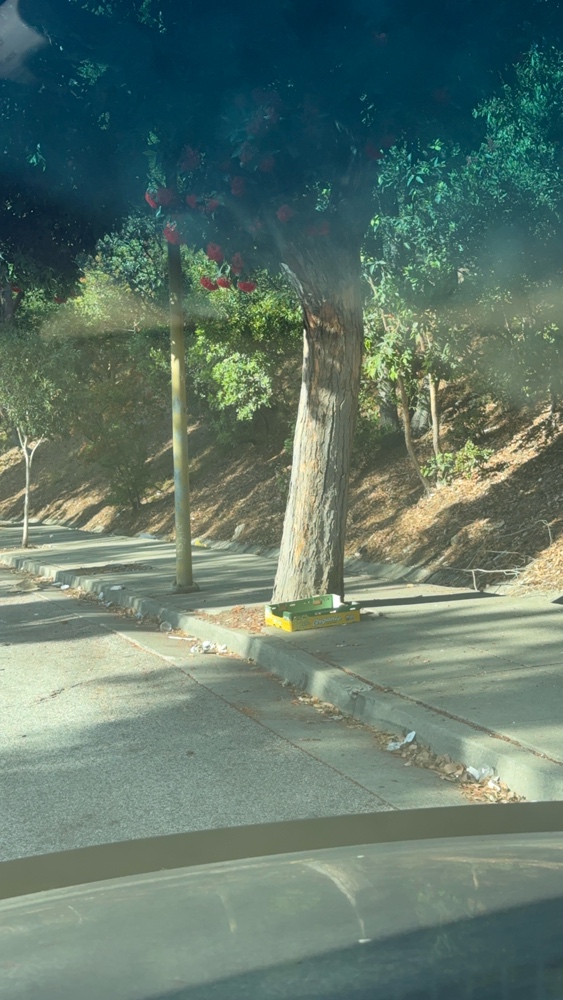 Photo attached to case 202000223045