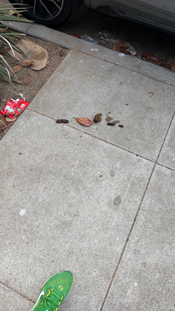 Photo attached to case 202000223437