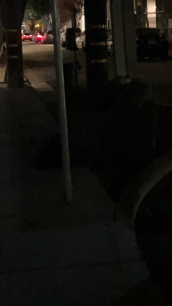Photo attached to case 202000223981