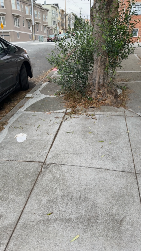 Photo attached to case 202000225369