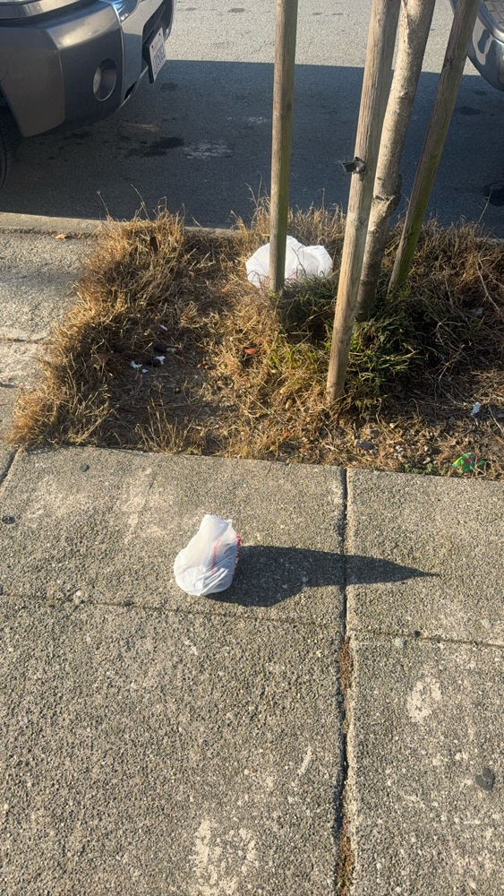 Photo attached to case 202000225764
