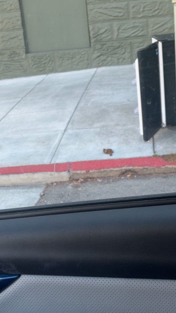 Photo attached to case 202000225875
