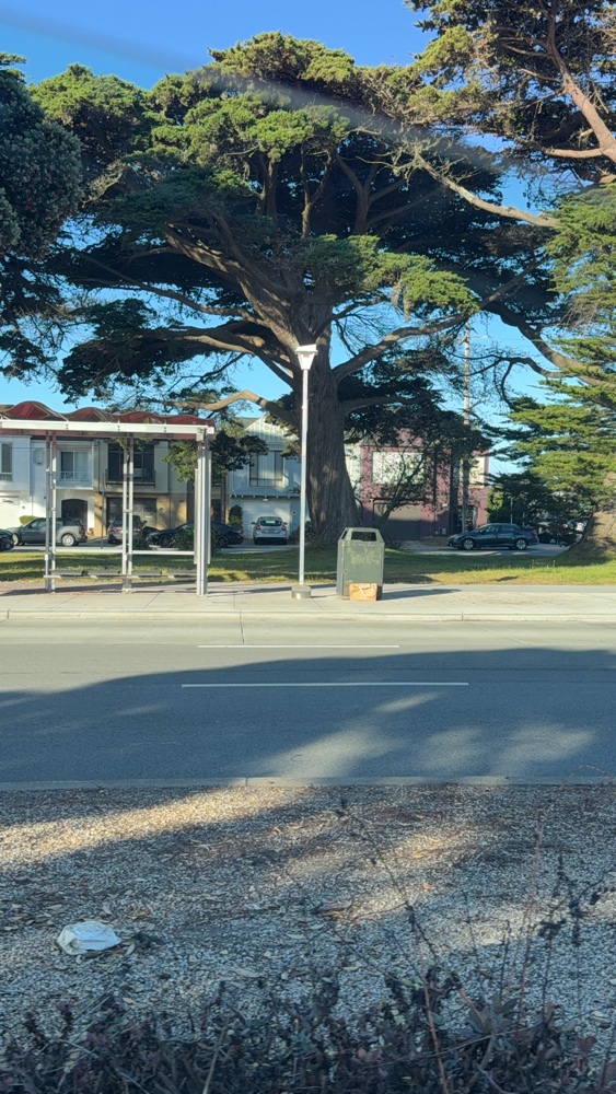 Photo attached to case 202000225917