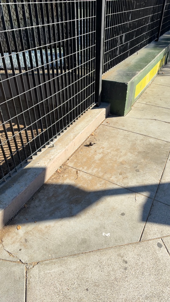 Photo attached to case 202000226152