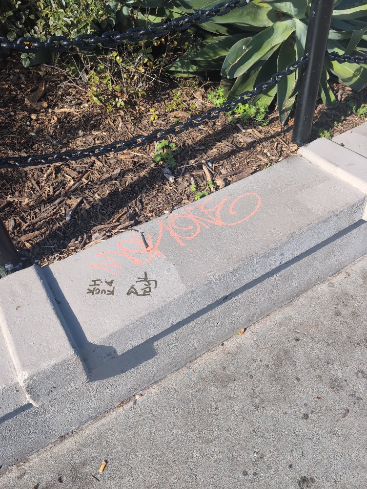 Photo attached to case 202000226409