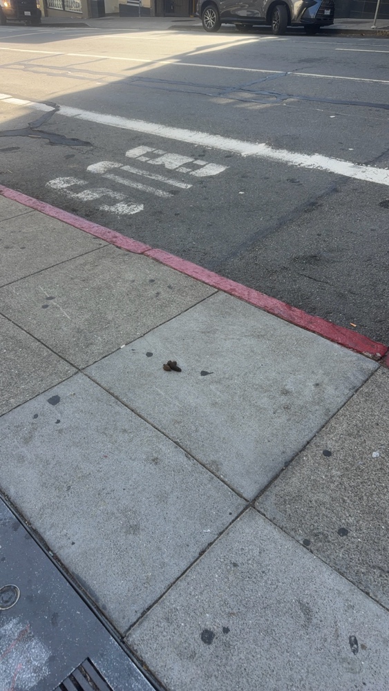 Photo attached to case 202000226675