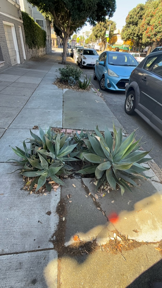 Photo attached to case 202000226680