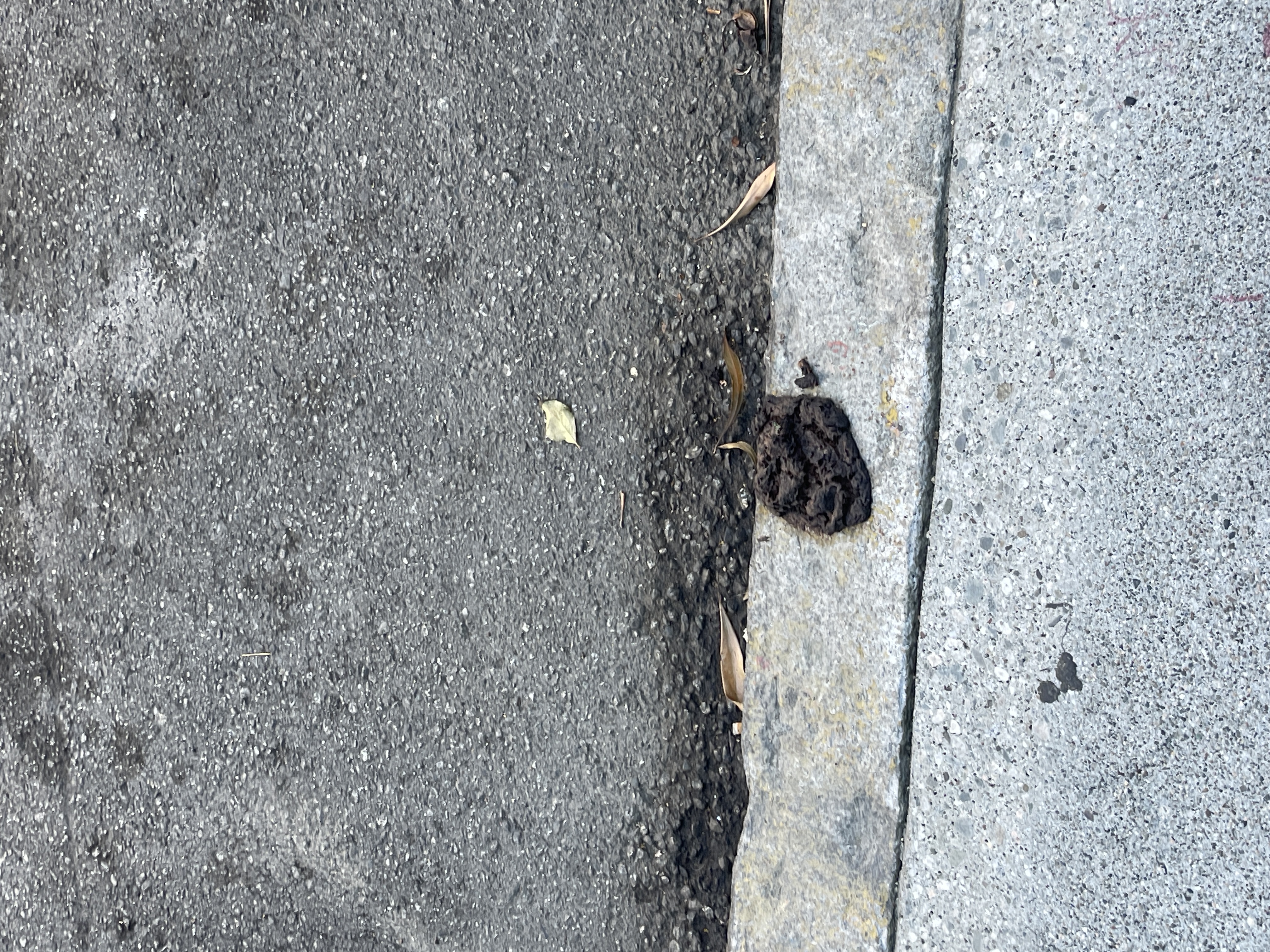 Photo attached to case 202000226734