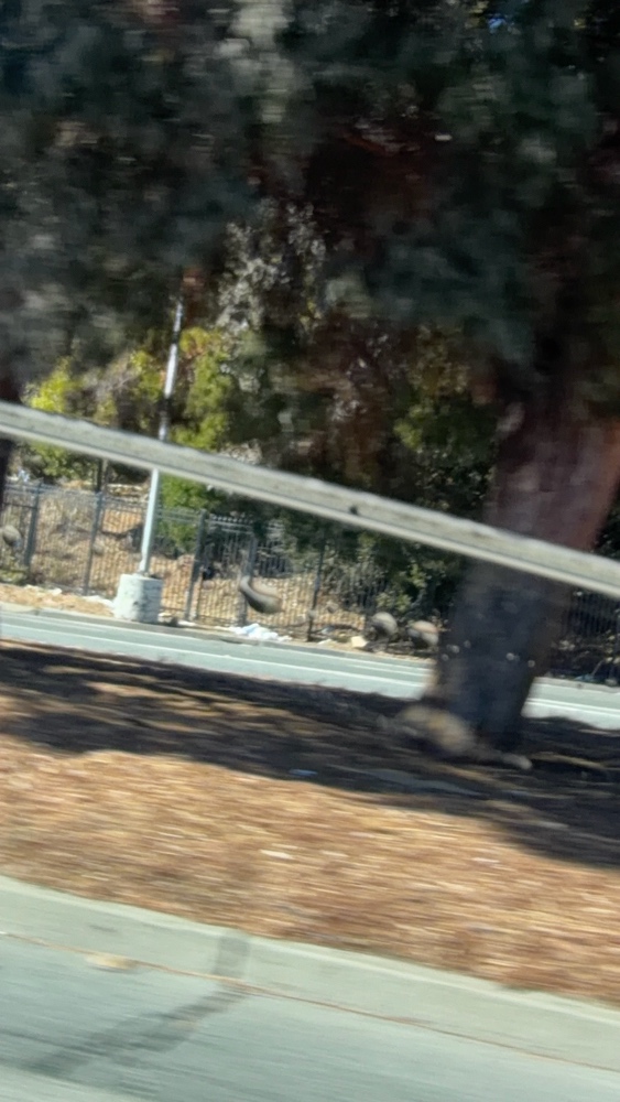 Photo attached to case 202000226850