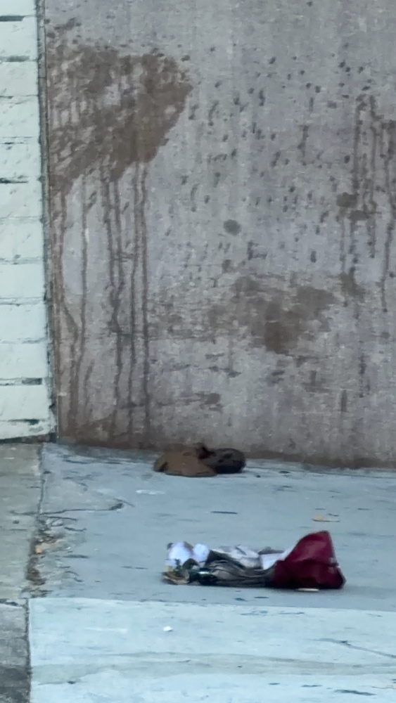 Photo attached to case 202000227559
