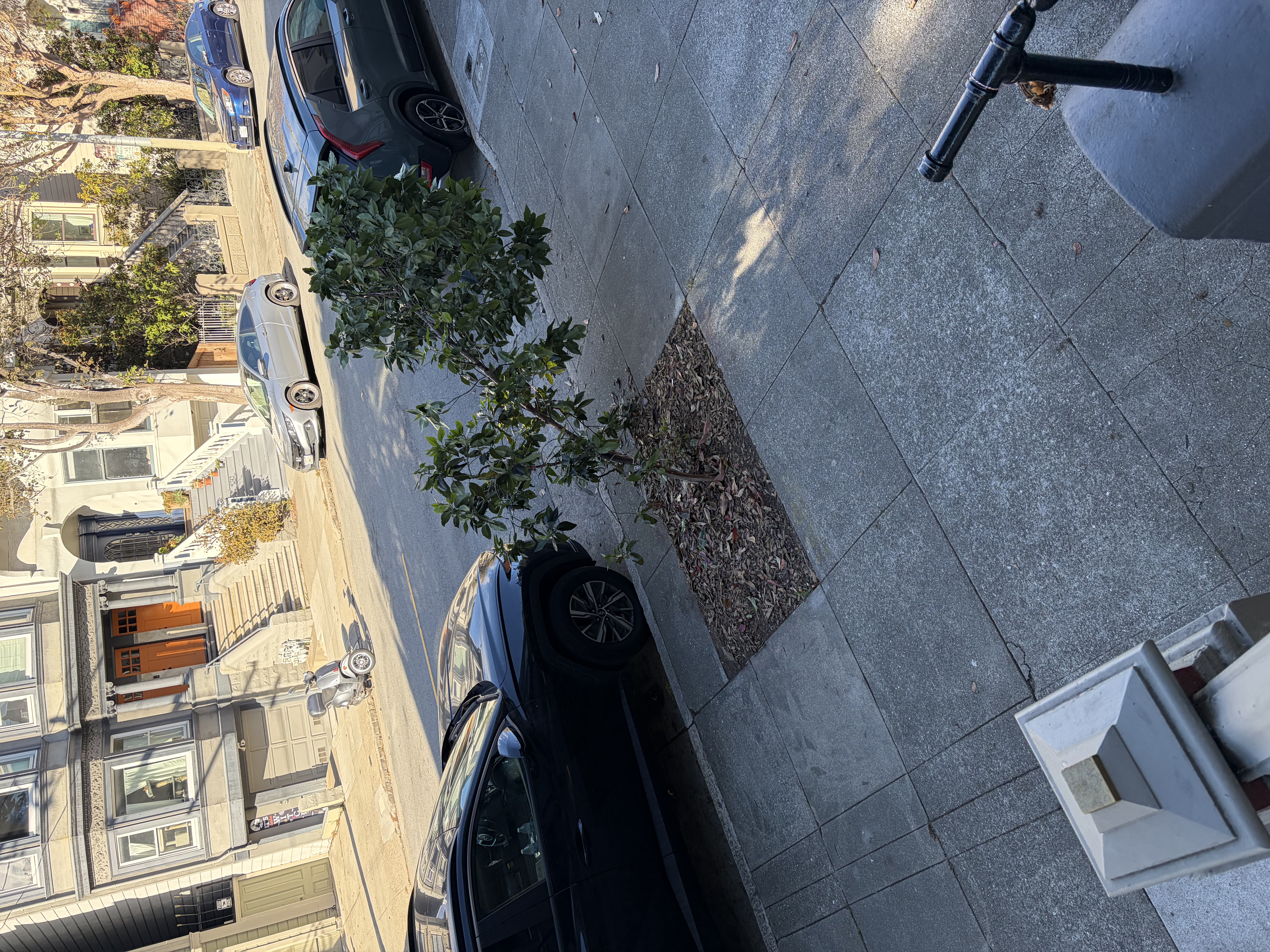 Photo attached to case 202000227902