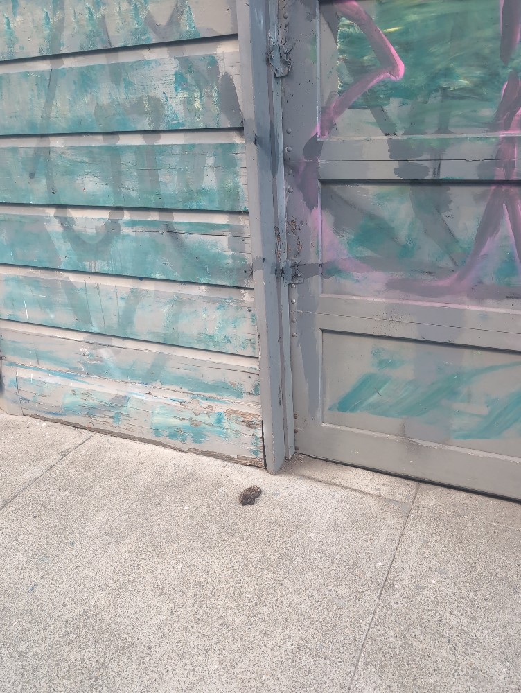 Photo attached to case 202000228155