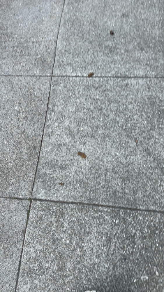 Photo attached to case 202000228394