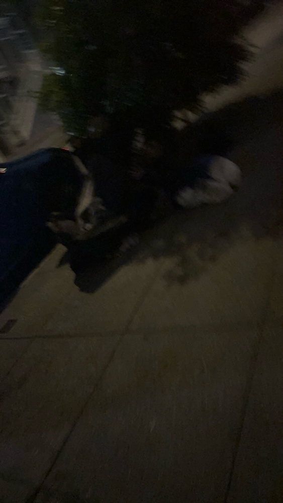 Photo attached to case 202000228741