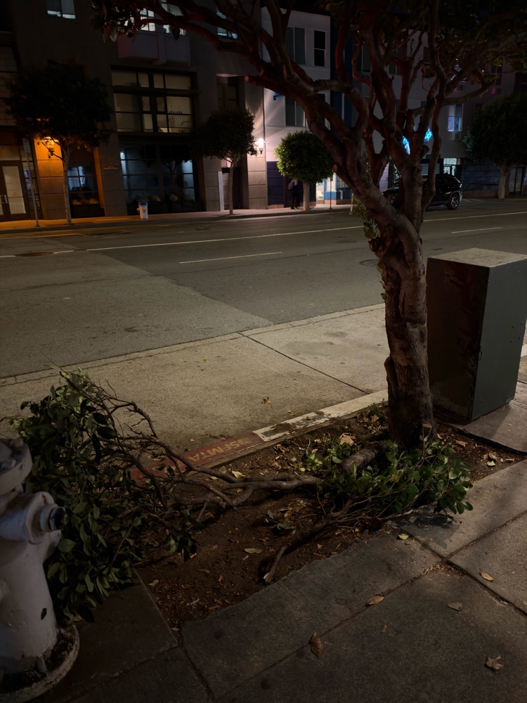 Photo attached to case 202000228769