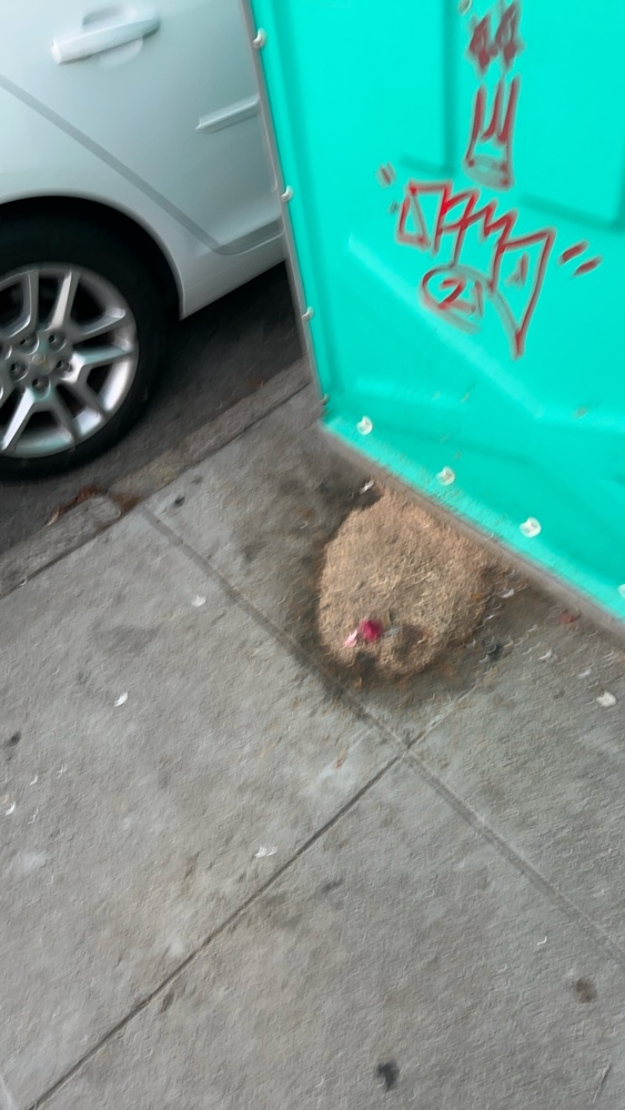 Photo attached to case 202000231463