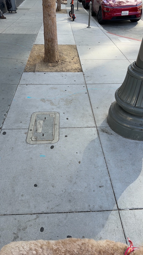 Photo attached to case 202000232418