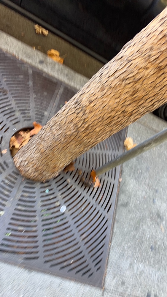 Photo attached to case 202000232978