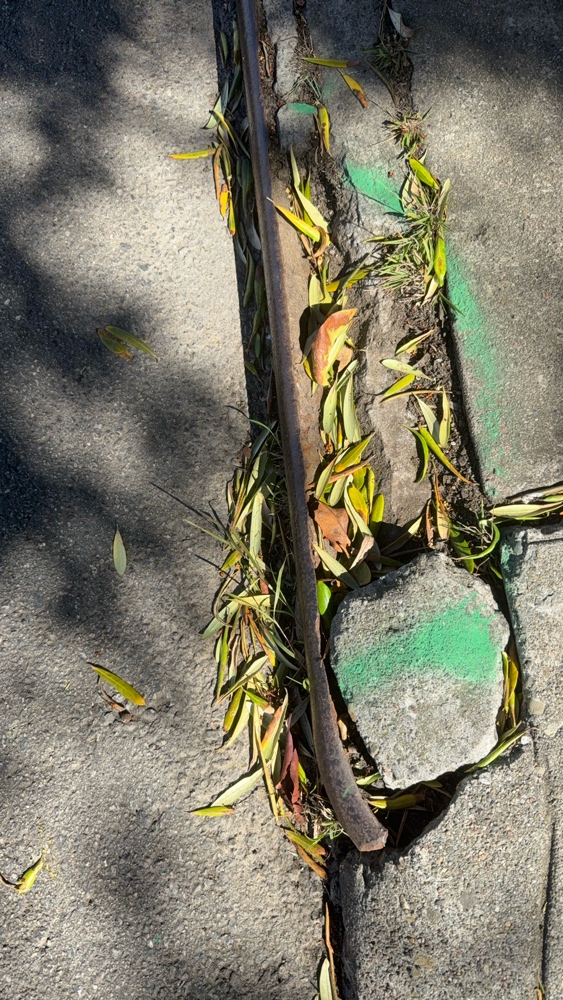Photo attached to case 202000233032