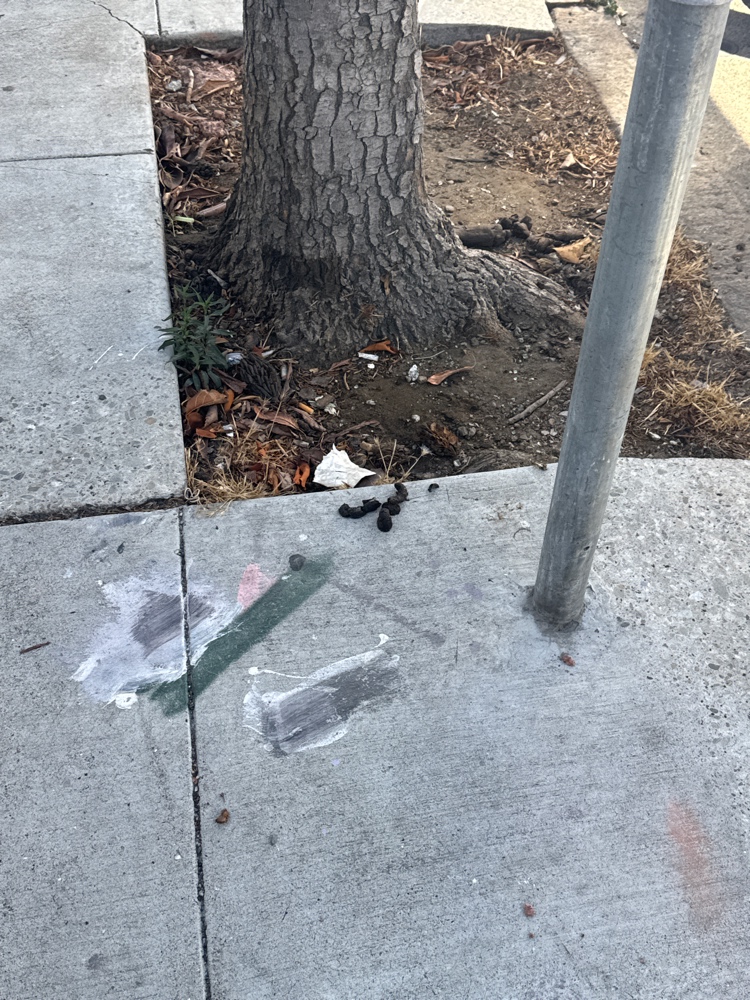 Photo attached to case 202000233083