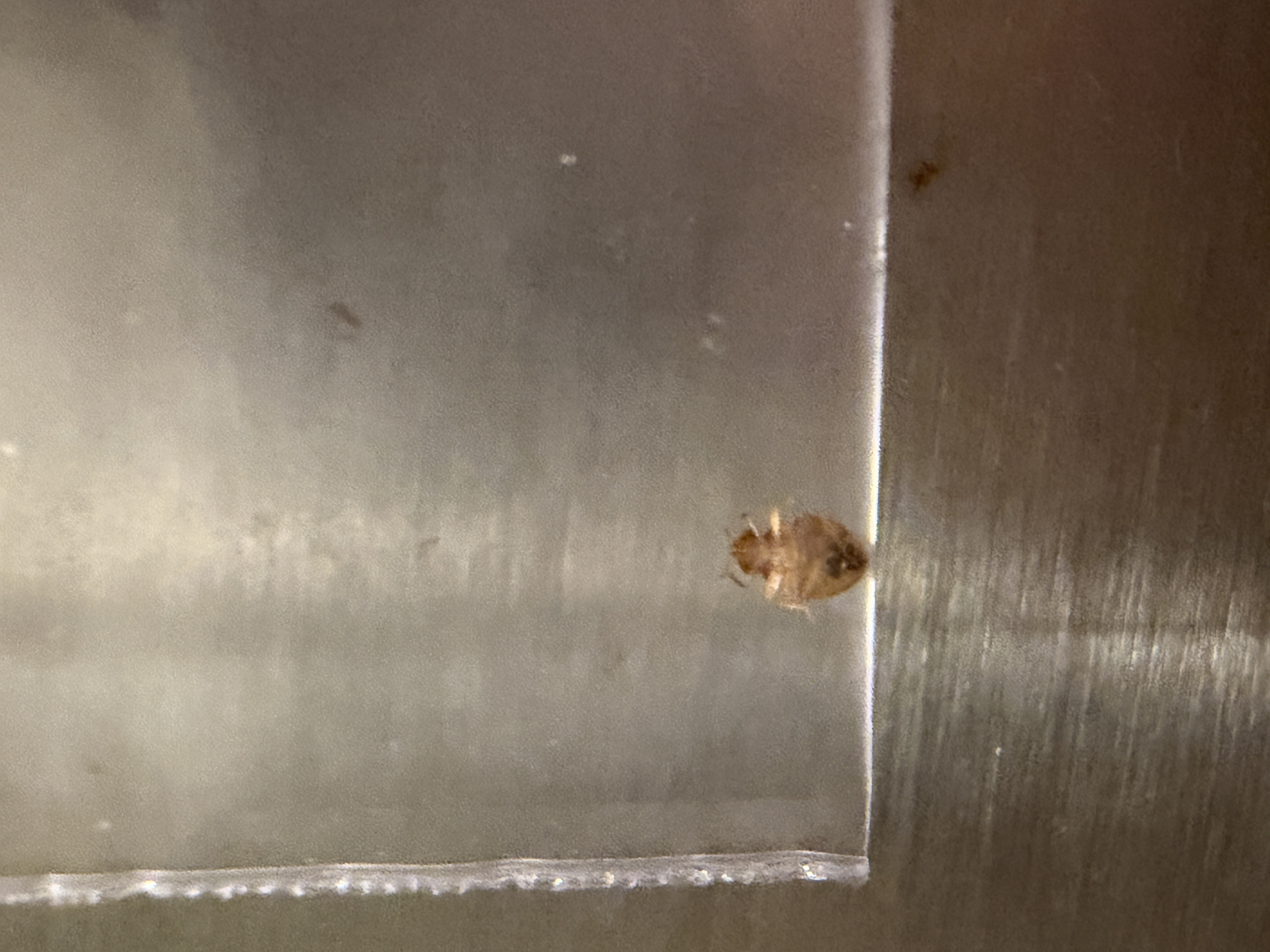 Photo attached to case 202000233304
