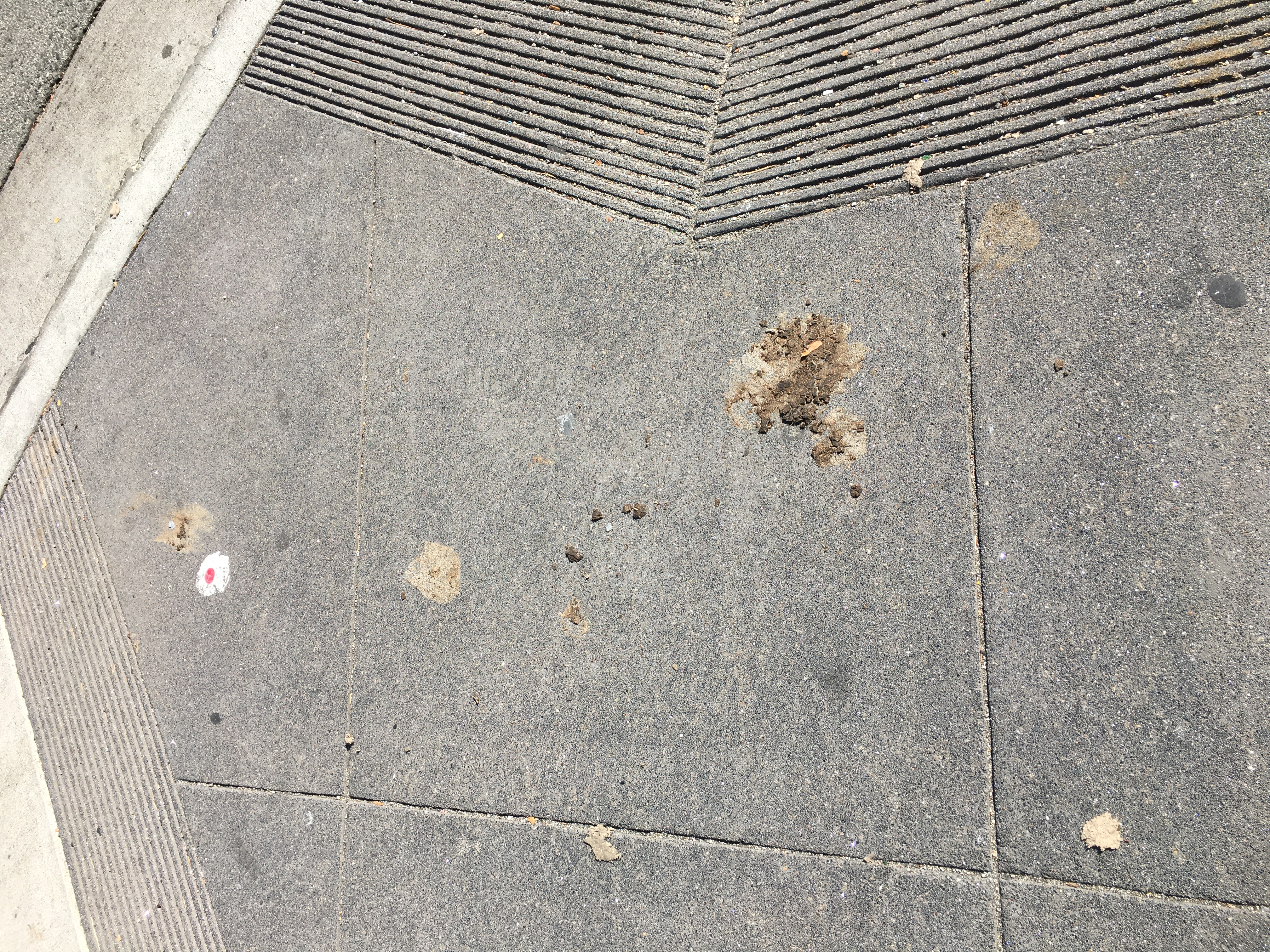 Photo attached to case 202000233506