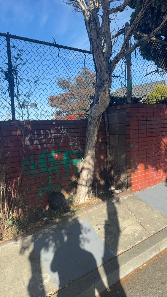 Photo attached to case 202000233702