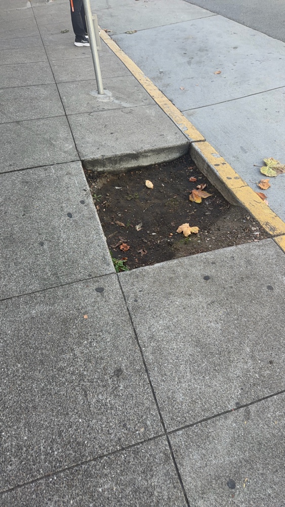 Photo attached to case 202000233855