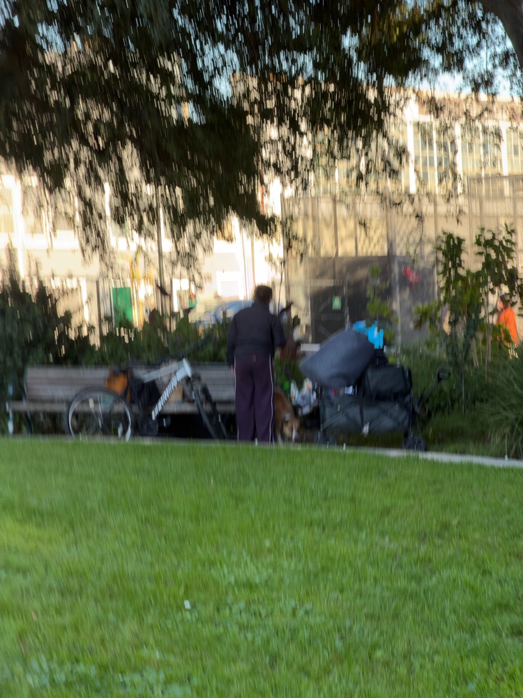 Photo attached to case 202000234071