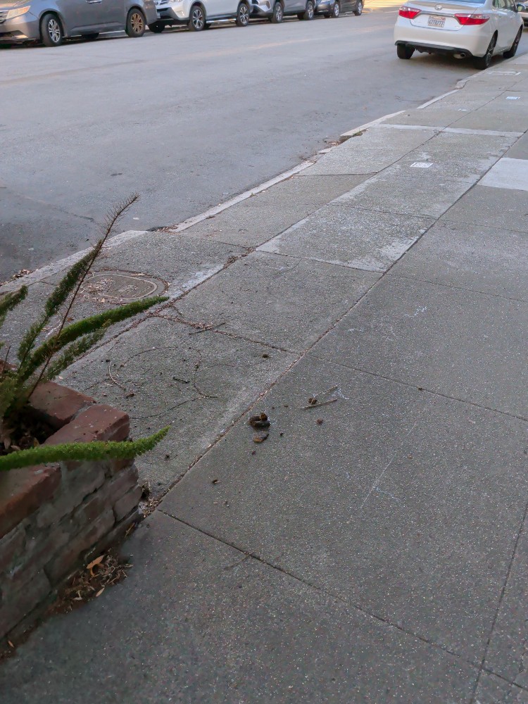 Photo attached to case 202000234172