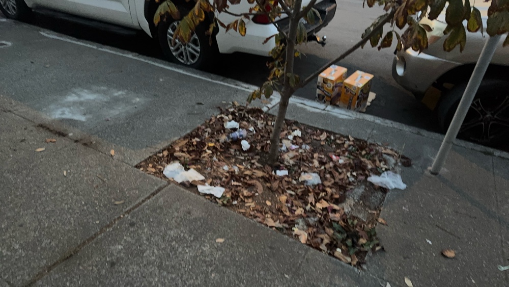 Photo attached to case 202000234416