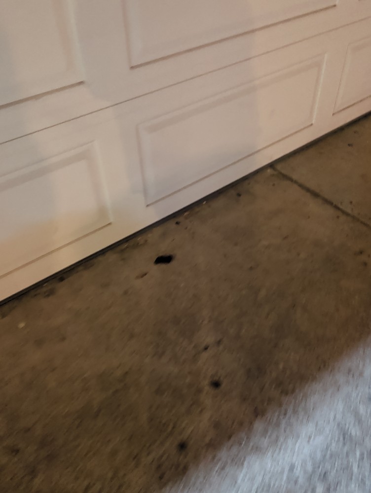 Photo attached to case 202000234835