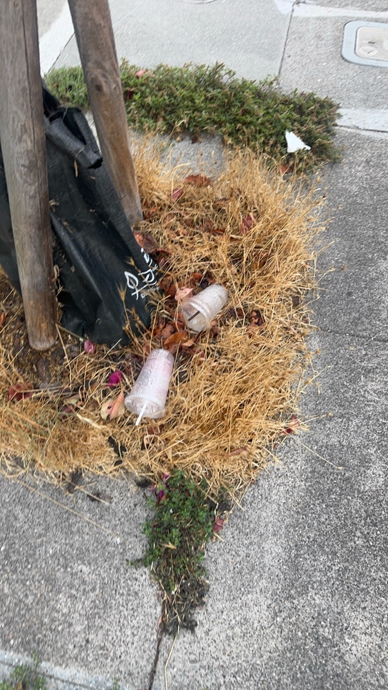 Photo attached to case 202000235448