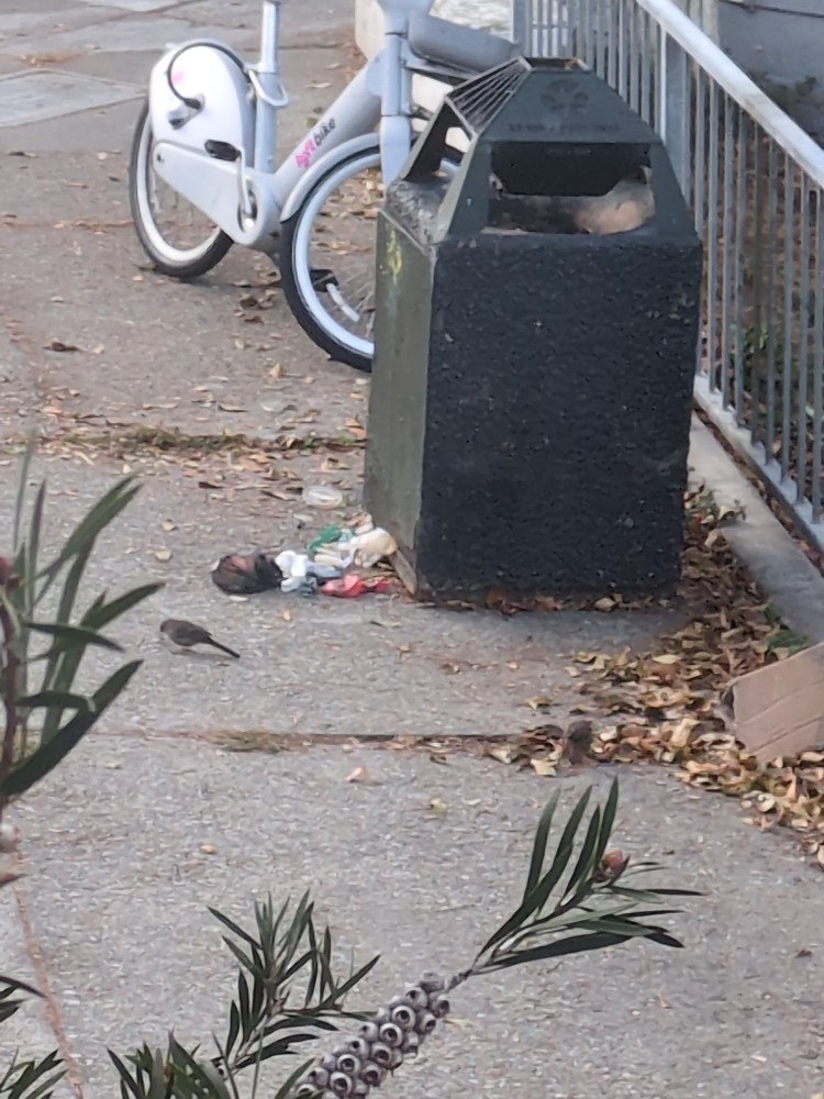 Photo attached to case 202000235569