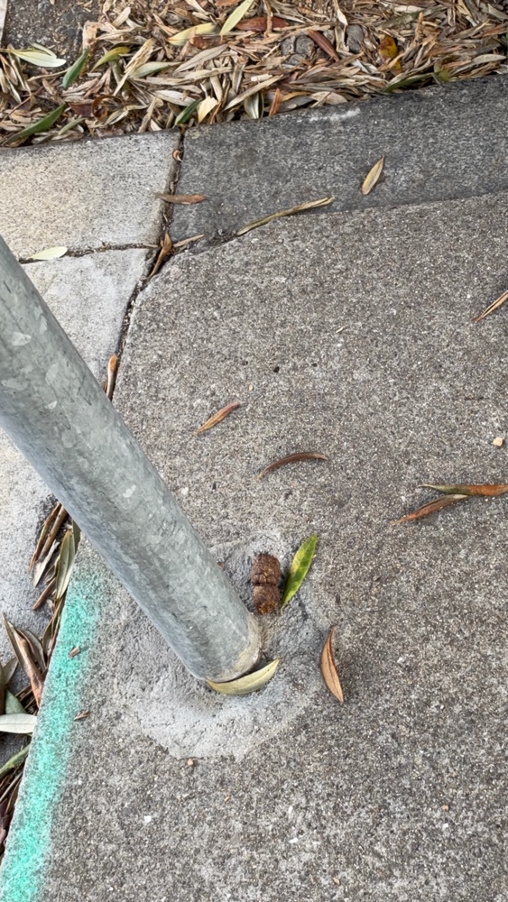Photo attached to case 202000235598