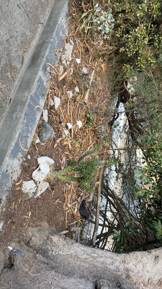 Photo attached to case 202000235606