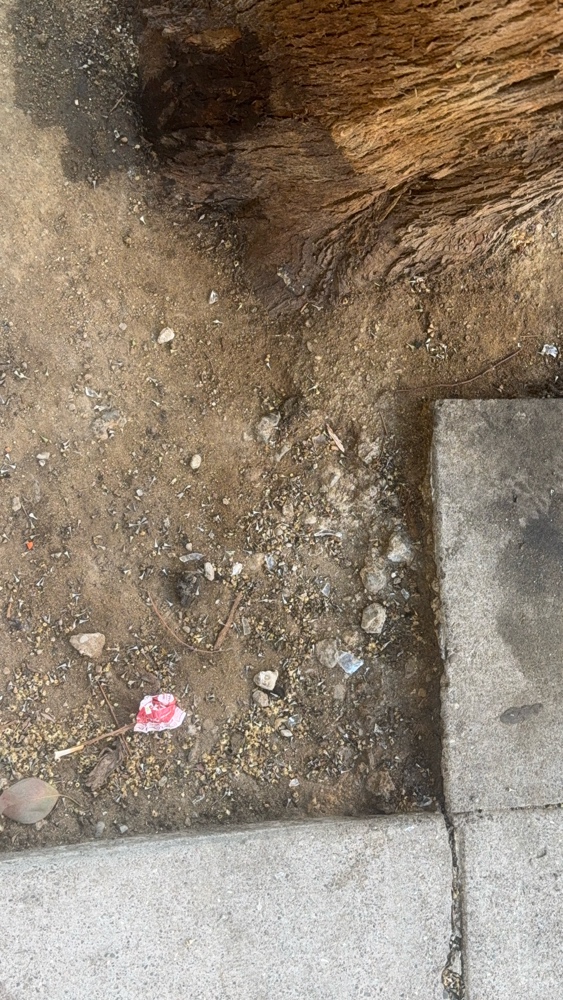 Photo attached to case 202000235962