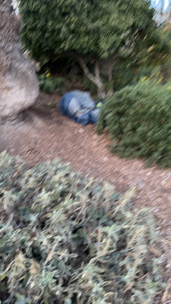 Photo attached to case 202000237824