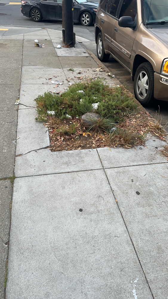 Photo attached to case 202000238684