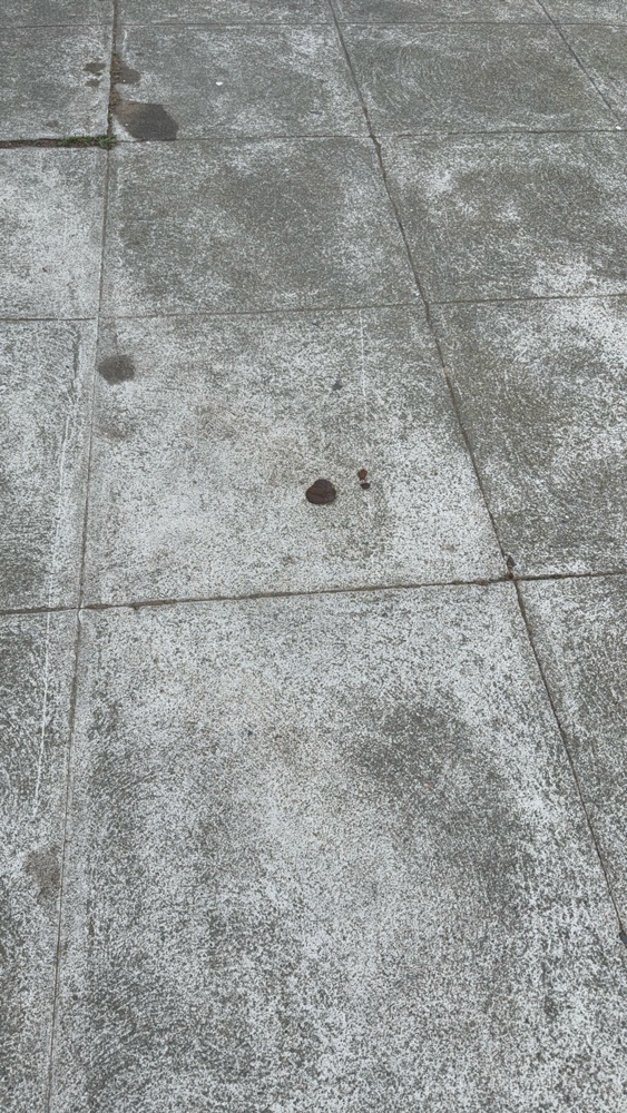 Photo attached to case 202000238921