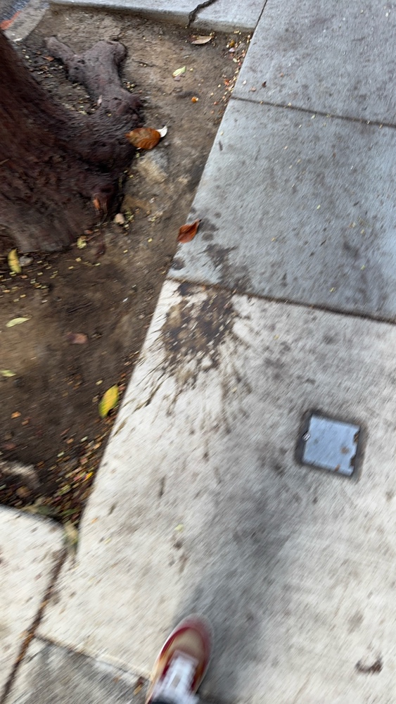 Photo attached to case 202000239055