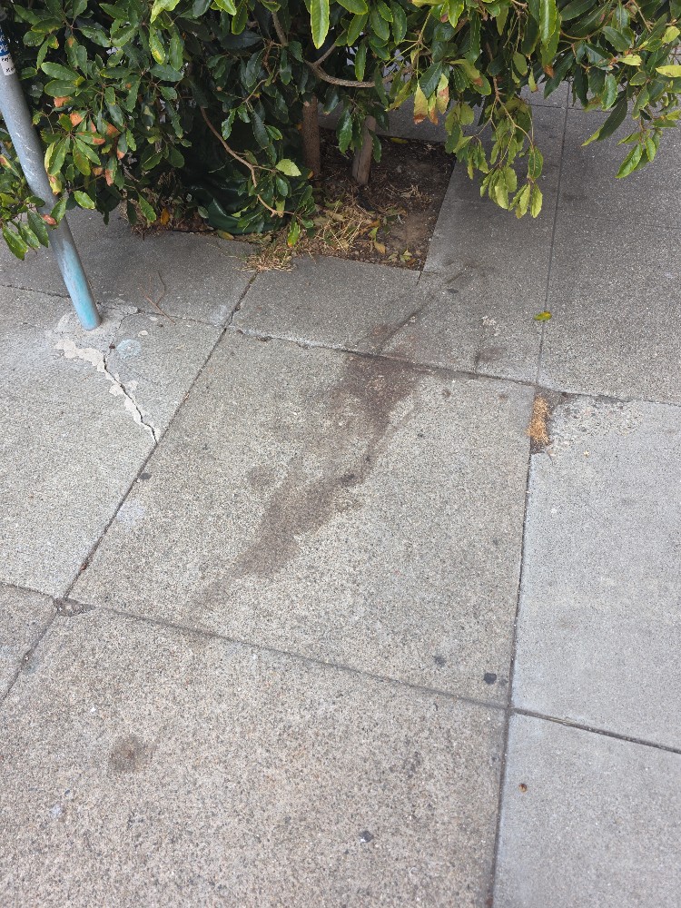Photo attached to case 202000239533