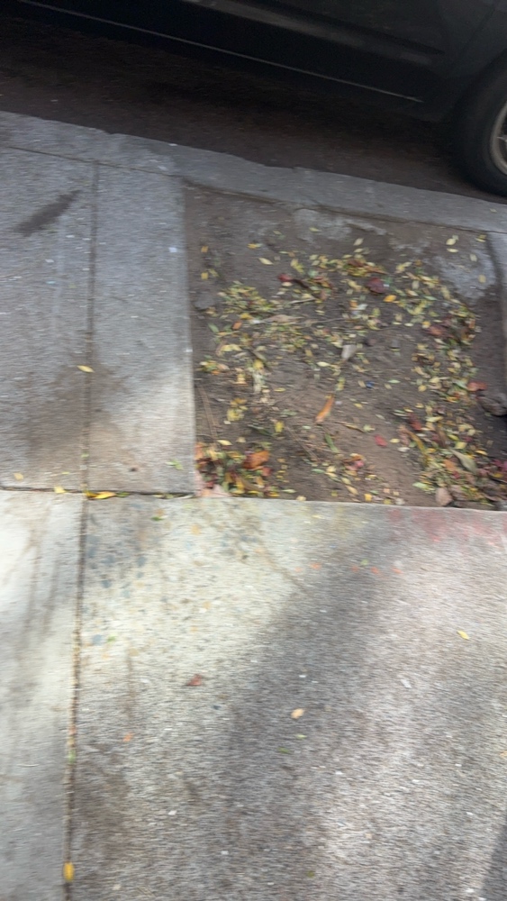 Photo attached to case 202000240140