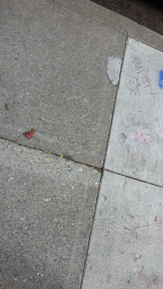 Photo attached to case 202000240141