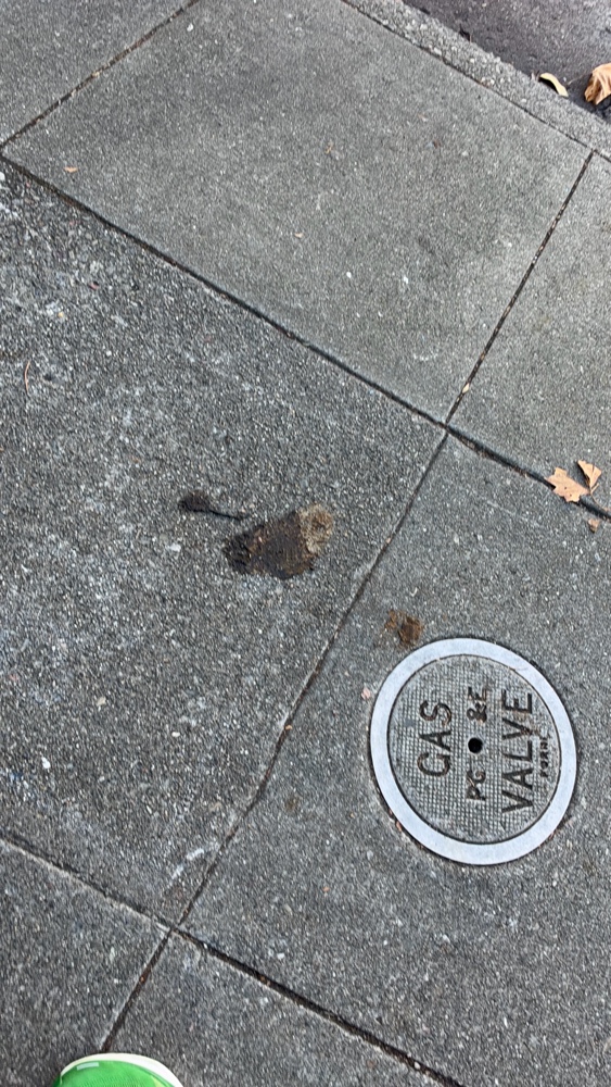 Photo attached to case 202000240166