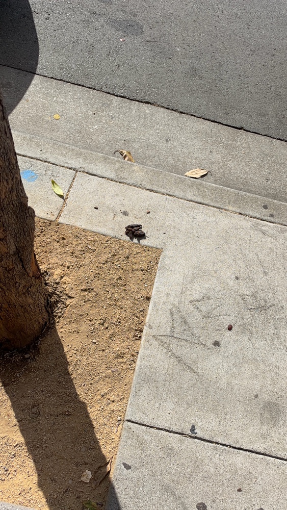 Photo attached to case 202000240194