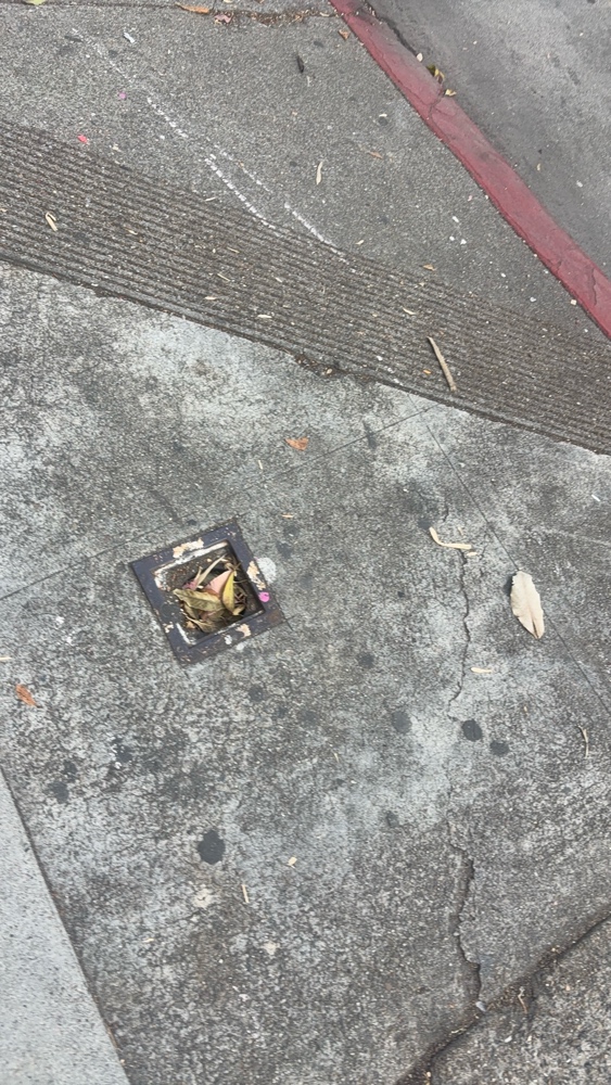 Photo attached to case 202000240298