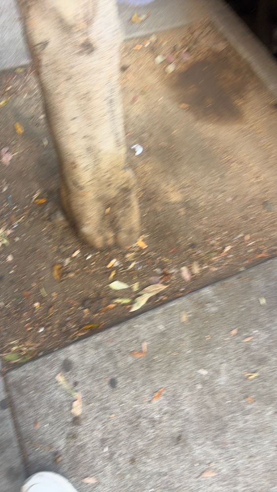 Photo attached to case 202000240305